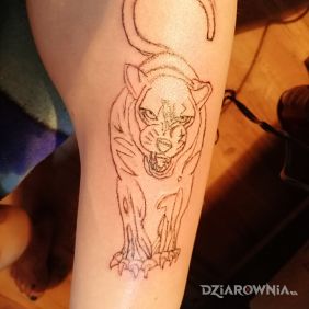 Tatuaż Pierwszy samodzielnie wykonany(UCZĘ SIĘ DOPIERO) jeszcze tylko wypelnienie na nodze motyw: zwierzęta styl: kontury / linework